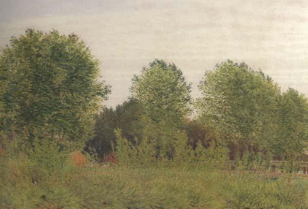 George Price Boyce.RWS Black Poplars at Pangbourne (mk46) France oil painting art
